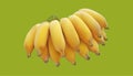 Realistic one group yellow ripe banana fruit invert side vide. vector illustration eps10