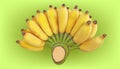 Realistic one group yellow ripe banana fruit. vector illustration eps10