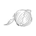 Realistic onion in black isolated on white background. Hand drawn vector sketch illustration in doodle engraved vintage outline