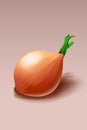 Realistic onion with shadow