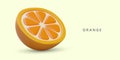 Realistic orange cut in half. Vector juicy ripe tangerine