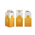 Realistic orange juice box in different projections Royalty Free Stock Photo