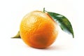 An realistic orange with a leaf on a white background, no shadow under the fruit, no other elements in front of it, high reso Royalty Free Stock Photo