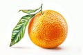 An realistic orange with a leaf on a white background, no shadow under the fruit, no other elements in front of it, high reso Royalty Free Stock Photo
