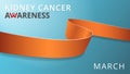 Realistic orange ribbon. Awareness kidney cancer month poster. Vector illustration. World kidney cancer day solidarity