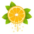 Realistic orange slice with leaves and drops of juice. Juicy fruit. Fresh citrus on white background vector illustration Royalty Free Stock Photo