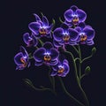 Realistic Orchid Flowers Background Close Up With Neon Colors, generative AI