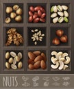 Realistic Organic Nuts Advertising Template