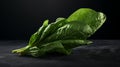 Realistic Organic Spinach Leaf On Dark Minimalist Background