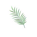 Realistic palm leaf vector isolated sign