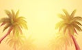 Realistic Palm tree gradient background