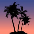 Realistic Palm Tree Illustration with Sunset Background Royalty Free Stock Photo