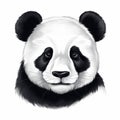 Realistic Panda Bear Face Illustration In Black And White