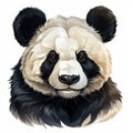 Realistic Panda Bear Head Drawing With Distinctive Character Design