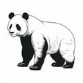 Realistic Panda Bear Illustrations: Dark And White Drawings