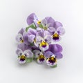 Realistic Pansy Bunches On White Table: High Detail Commercial Photography