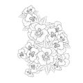 realistic pansy drawing, pansy flower drawing the outline, traditional pansy tattoo, pansy line drawing,