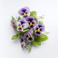 Realistic Pansy Flower Photography On White Table - High Detail, Hyper Quality