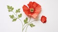 Realistic Paper Poppy Embroidery: Craftcore With Meticulous Detail
