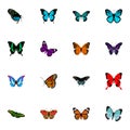 Realistic Papilio Ulysses, Sangaris, Morpho Hecuba And Other Vector Elements. Set Of Beauty Realistic Symbols Also