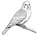 Realistic Parakeet Coloring: Minimalist Illustrator With Engraved Line-work