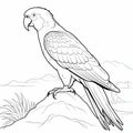 Realistic Parrot Coloring Page: Stunning Mountaintop Scene