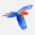 Realistic parrot exotic bird, macaw parrot Amazon bird picture f