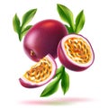 Vector realistic passionfruit with seed green leaf