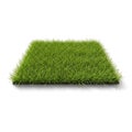 Realistic patch of green grass on a white background Royalty Free Stock Photo