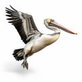 Realistic Pelican In Flight: Hyper-detailed Rendering On White Background