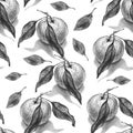 Realistic pencil seamless pattern with orange, mandarin with leaves,