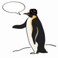 Realistic penguin and thinking and hat