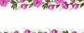 Vector flowers, horizontal seamless border pattern isolated on a white background. modern frame with hand-drawn peonies doodling