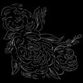 Realistic peonies outline hand for decorative design. Peonies outline hand in engraved style on black background. Isolated vector