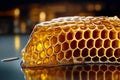 A realistic photo of honeycomb filled with honey, with the intricate hexagonal pattern highlighted by soft, natural light Royalty Free Stock Photo