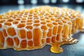A realistic photo of honeycomb filled with honey, with the intricate hexagonal pattern highlighted by soft, natural light Royalty Free Stock Photo