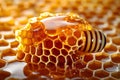 A realistic photo of honeycomb filled with honey, with the intricate hexagonal pattern highlighted by soft, natural light Royalty Free Stock Photo
