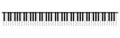Realistic 88 piano keys, vector Royalty Free Stock Photo