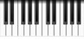 Realistic piano keys, vector