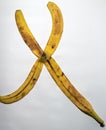 Realistic picture of half eaten banana