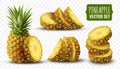 Realistic pineapple. Ananas slices, half and whole fruit, juice tropical background, green natural fresh food with leaf Royalty Free Stock Photo
