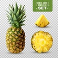 Realistic Pineapple Set Royalty Free Stock Photo