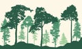 Realistic pines and spruce trees. Coniferous forest silhouette. Vector illustration Royalty Free Stock Photo