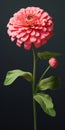 Realistic Pink Flower 3d Model With Surrealistic Elements