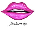 Realistic, pink lips isolated on a white background. a woman`s kiss, hand-drawn, in the style of doodles. lipstick gloss, vector