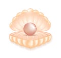 Realistic pink pearl in the shell Royalty Free Stock Photo