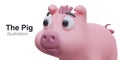 Realistic pink pig snout looking at text. Concept of animal for farm game