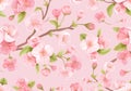 Realistic pink Sakura blossom seamless background. Japanese flowering cherry exotic texture. Spring flowers Royalty Free Stock Photo