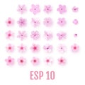 Realistic pink sakura petals icon set. Cherry flowers