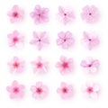 Realistic pink sakura petals icon set. Cherry flowers Royalty Free Stock Photo